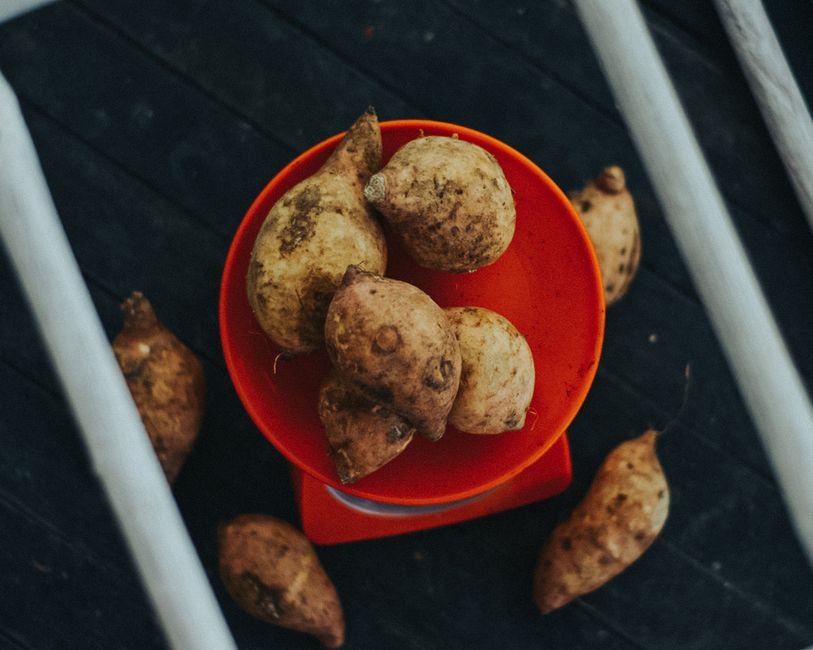 Whole sweet potatoes