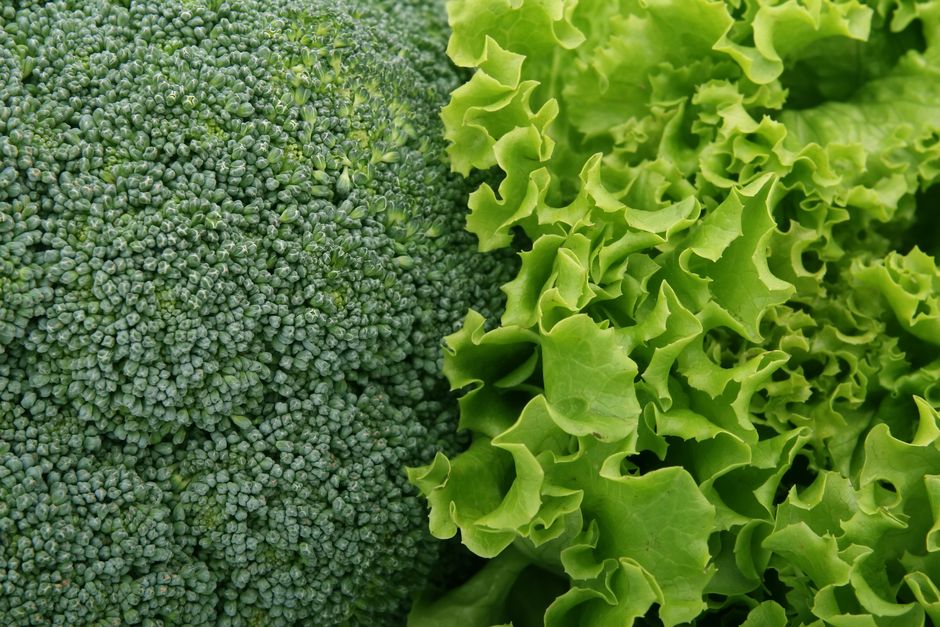 Fresh broccoli florets