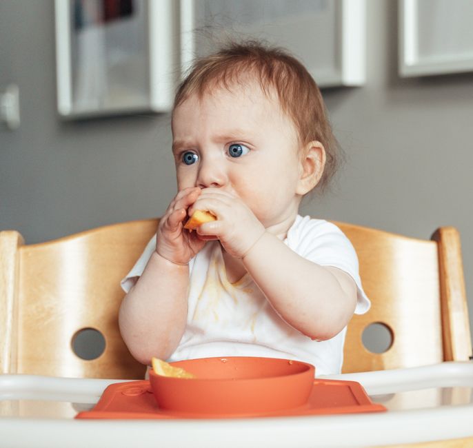 Happy baby in a highchair starting solids